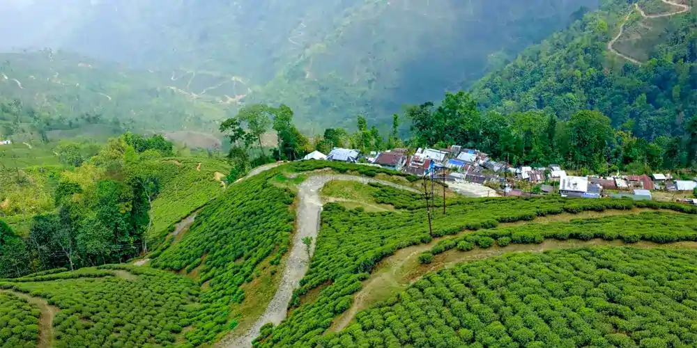 North Bengal